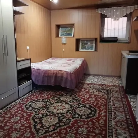 L'vovskaia بيت ضيافة تريسكافيتس